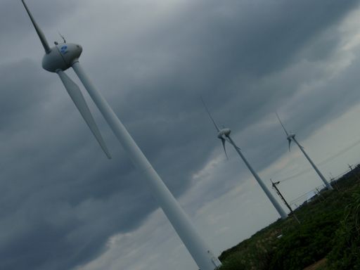 e0086522_891626.jpg