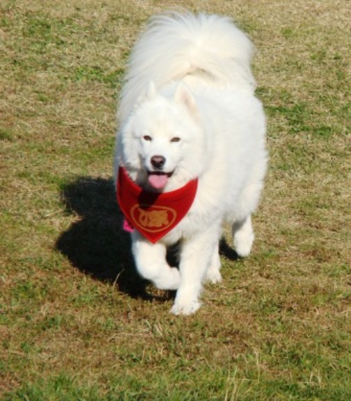 e0024126_21153623.jpg