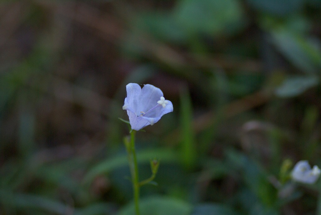 d0053930_6375100.jpg