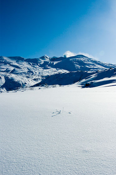 e0025030_16392015.jpg