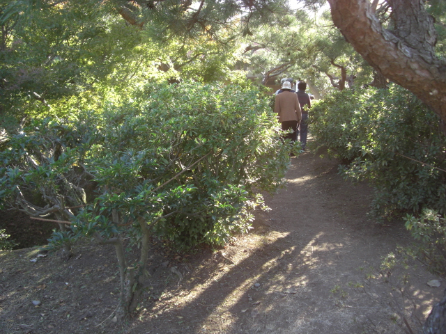 c0161833_20314740.jpg