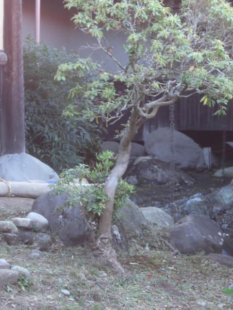 c0161833_2042347.jpg