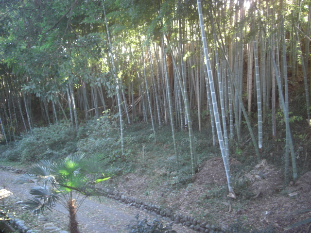 c0161833_20471548.jpg