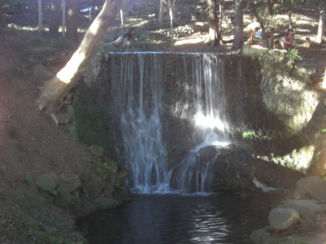 c0161833_2049551.jpg