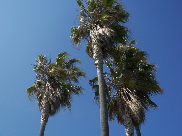 f0045433_21381553.jpg