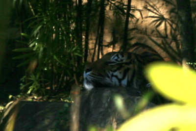 f0073833_16305029.jpg