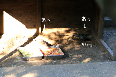 f0073833_1712949.jpg