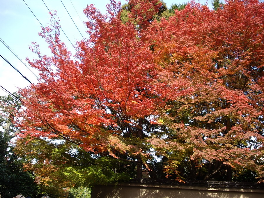 b0011334_0172051.jpg