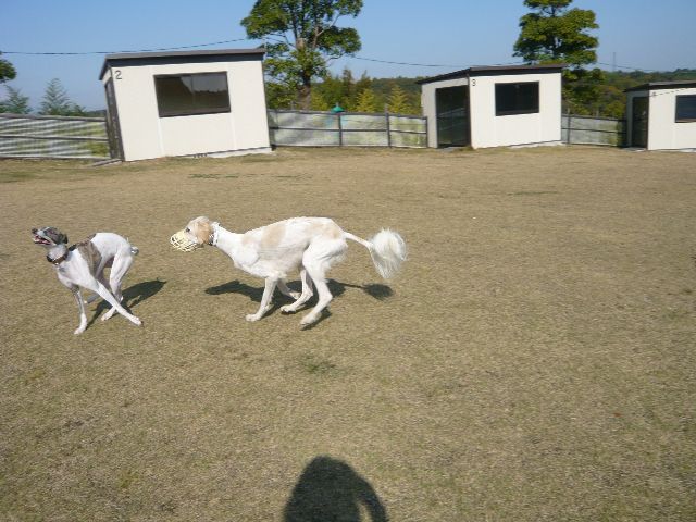 f0176534_13123429.jpg