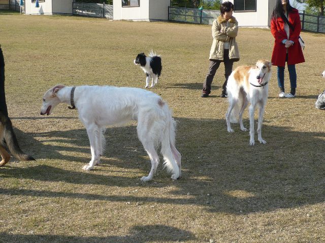 f0176534_1323240.jpg