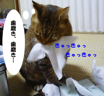 f0008935_1346651.gif