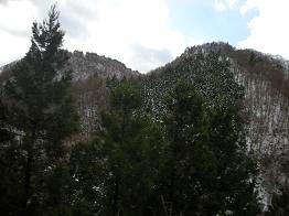 b0024439_11325676.jpg