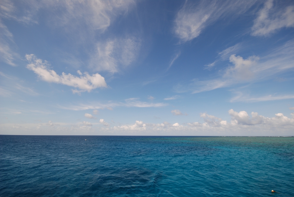f0168041_2333999.jpg