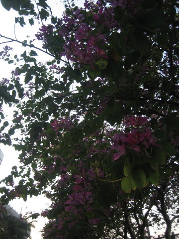 e0018143_3134643.jpg