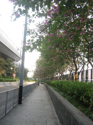 e0018143_36239.jpg