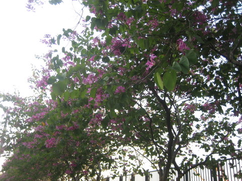 e0018143_363380.jpg