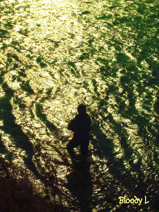 e0033745_2257136.jpg