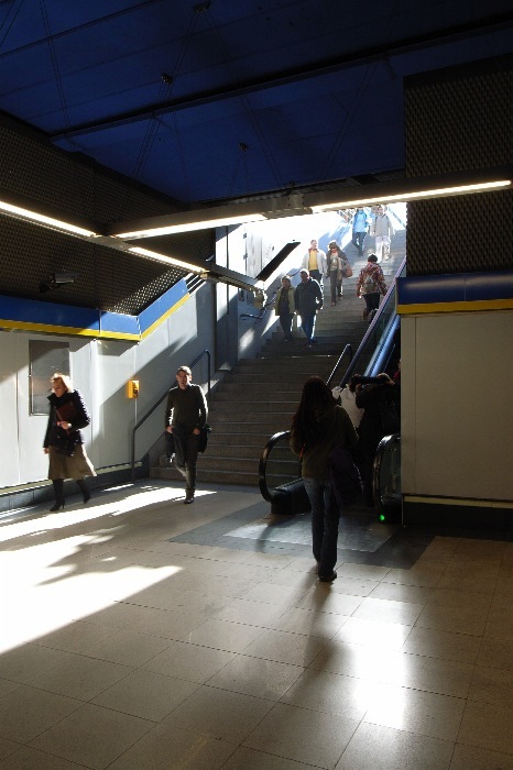 e0100152_1553390.jpg