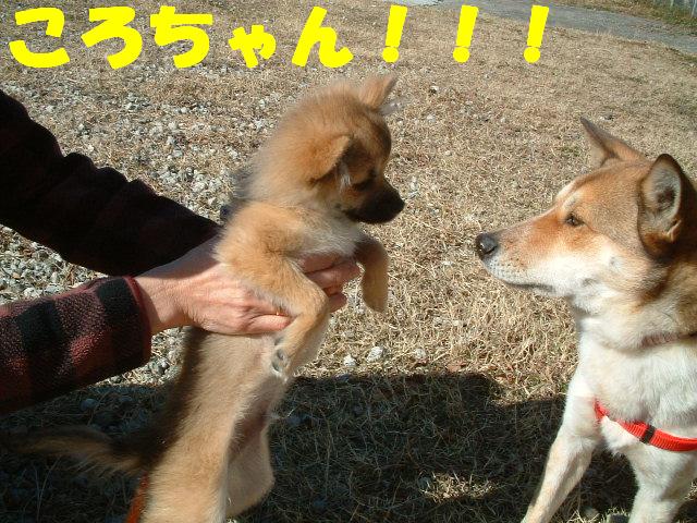 c0164353_0454028.jpg