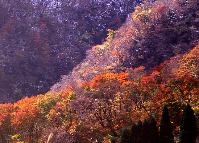 b0083855_23285982.jpg