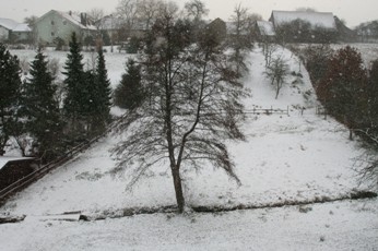 b0008366_5265679.jpg