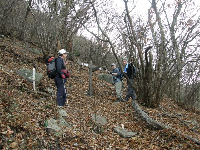 c0042869_19262765.jpg