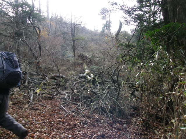 c0042869_1938256.jpg