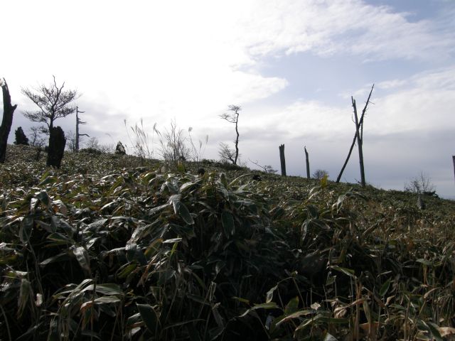 c0042869_1948981.jpg