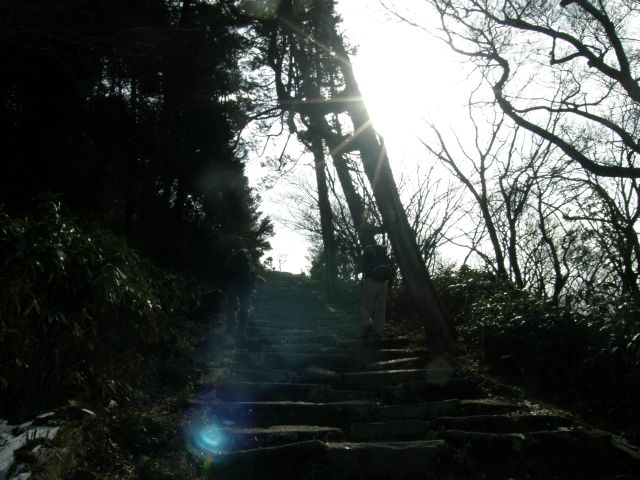 c0042869_19533230.jpg