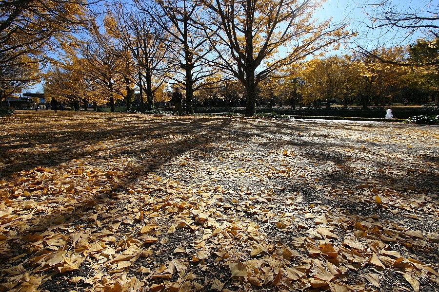 b0084270_22501264.jpg