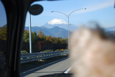 b0091373_11121386.jpg