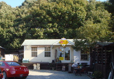 b0091373_11124113.jpg