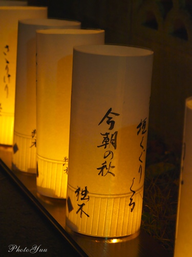 b0078874_14131253.jpg