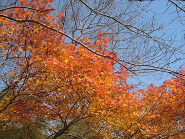 f0196374_18363673.jpg