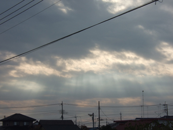 a0105480_11465640.jpg