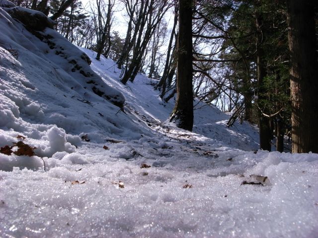 e0129083_20112268.jpg