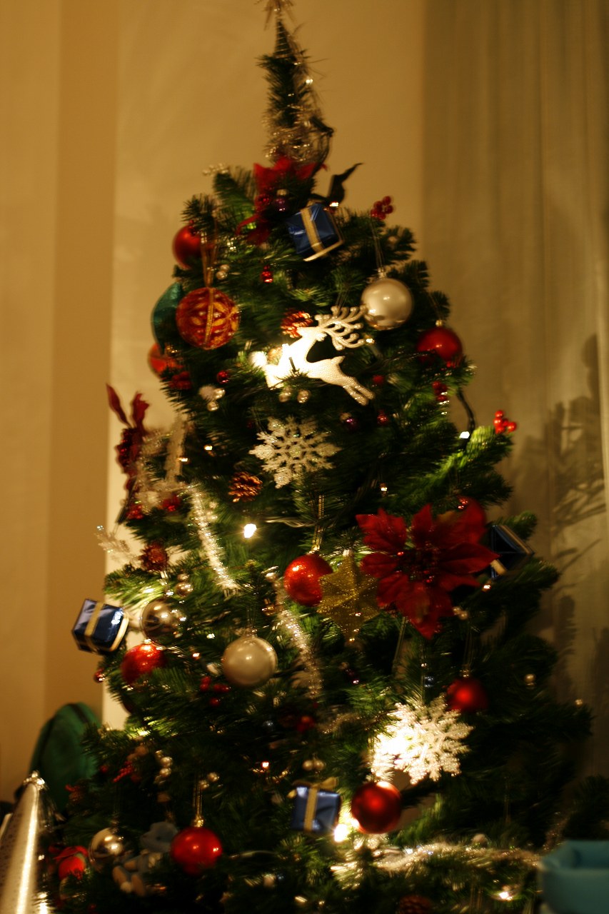 e0005887_23235512.jpg