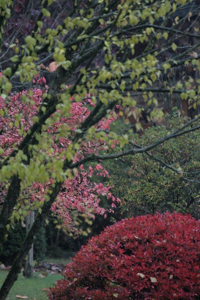d0133693_1815431.jpg