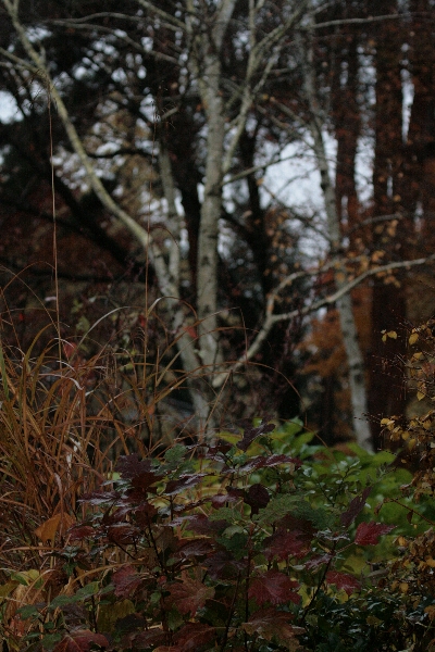 d0133693_181942.jpg