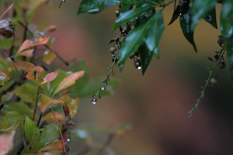 d0133693_1871838.jpg