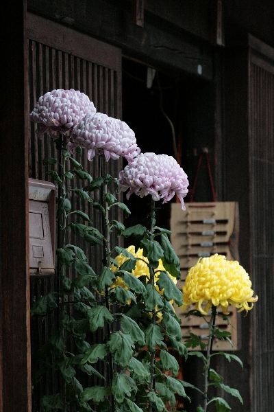 d0133693_9111412.jpg