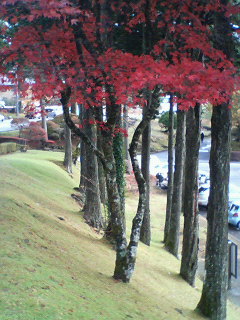 a0101000_18144823.jpg