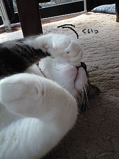 c0035001_16522883.jpg