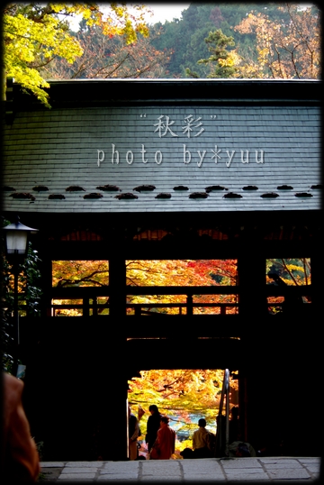 f0111908_15514711.jpg