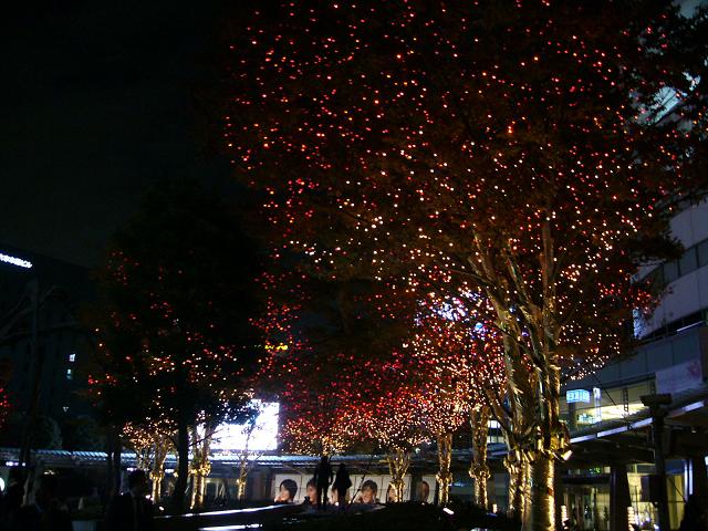 b0112909_1728023.jpg