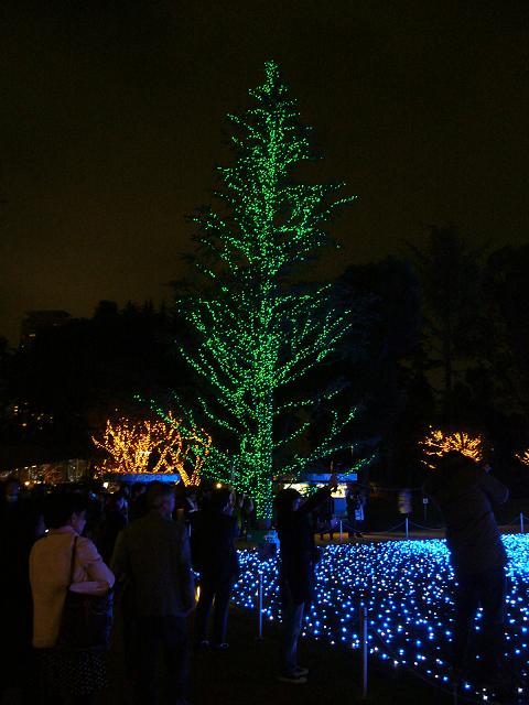 b0112909_1836547.jpg