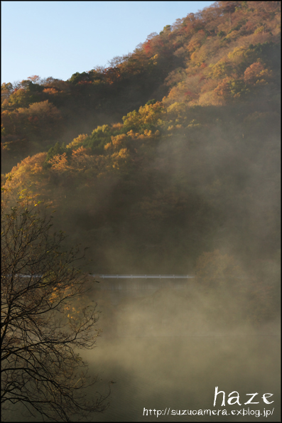 f0100215_22472465.jpg