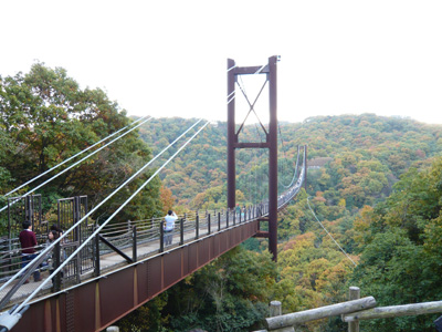b0019820_23521068.jpg