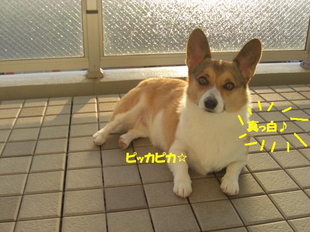 f0182121_1864463.jpg