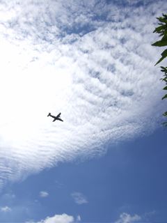 c0162123_213075.jpg
